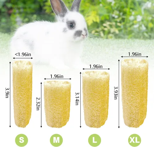Vista 2 de BNOSDM Juguetes masticables de conejo, esponja natural, 12 piezas de dientes de conejo, juguete para moler conejo, golosinas ricas en fibra M-12