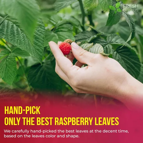 Vista 347 de FreshDrinkUS, 135 bolsas de té de jengibre y cúrcuma premium, ingredientes 100% naturales, mezcla hecha a mano de té de hierbas de cúrcuma