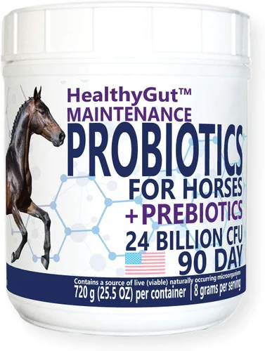 HealthyGut Probióticos para caballos Suplemento dietético, fórmula de mantenimiento del sistema digestivo totalmente natural (90 días)