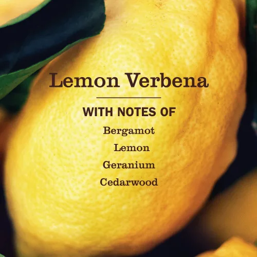 Vista 2 de Mrs. Meyer's - Detergente líquido para platos, aroma a verbena de limón, fórmula biodegradable, paquete de 3 unidades, 16 fl oz