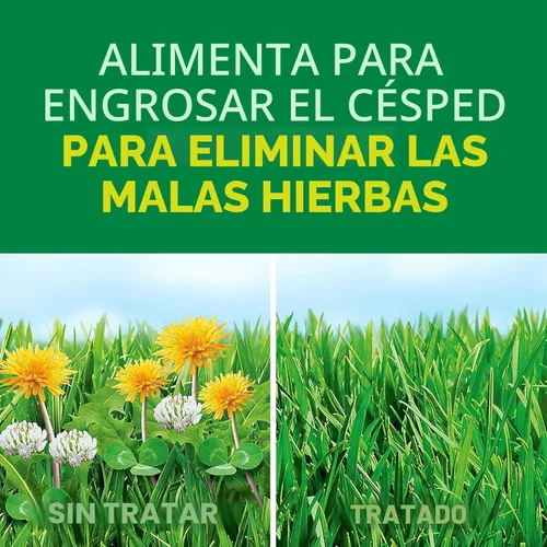 Vista 2 de Scotts Turf Builder Weed and Feed5, Fertilizante y alimento para césped, matamalas hierbas plus, controla dientes de león y trébol, 4,000 pies