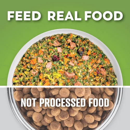 Vista 4 de Dr. Harvey's Beef & Garden Veggies - Alimento deshidratado sin granos para perros con carne liofilizada, tamaño de prueba (5.5 onzas)