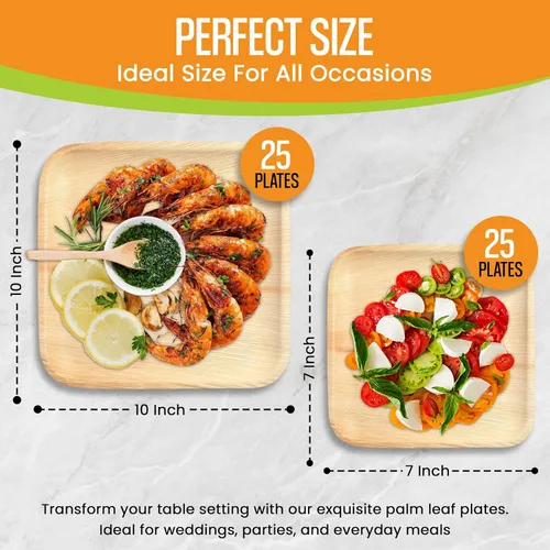Vista 2 de Raj Platos de hoja de palma desechables de bambú de 10 pulgadas y 7 pulgadas, paquete de fiesta cuadrado a granel (50 unidades) compostables