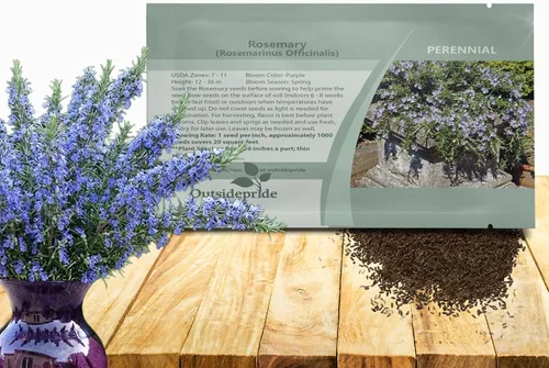 Outsidepride Semillas de romero – 1000 unidades. Cubierta perenne, tolerante a la sequía, semillas de hierbas fáciles de cultivar para plantar,