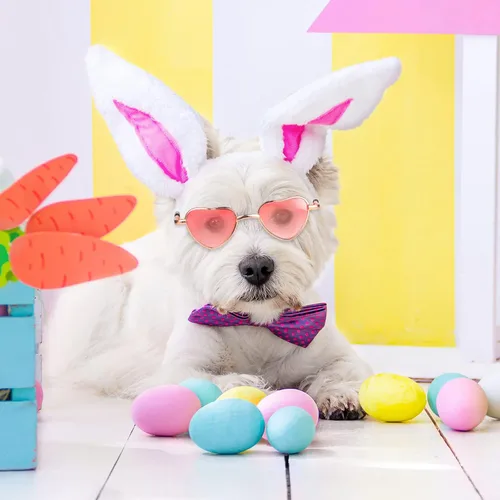 Vista 6 de Konohan 8 lentes de sol con forma de corazón para perros y gatos, lentes de sol de metal para mascotas pequeñas, divertidas gafas de cosplay