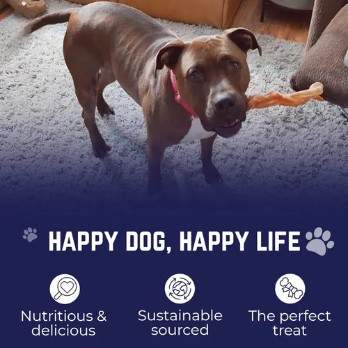 Vista 3 de Devil Dog Pet Co. Jumbo Bully Sticks – 6 pulgadas, paquete de 3 masticables para perros, 100% naturales, de un solo ingrediente, carne de res