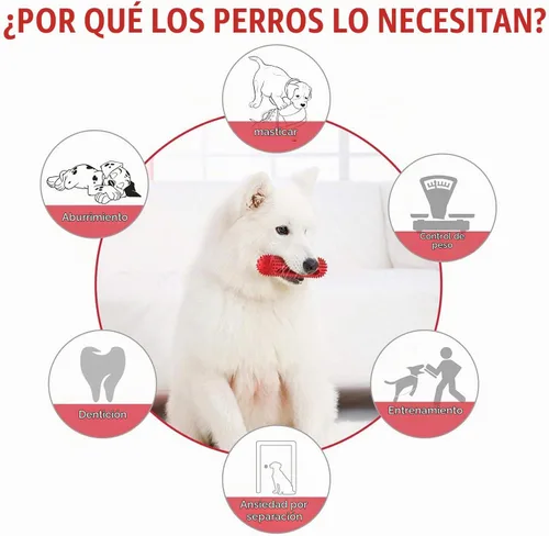 Vista 5 de Petizer - Juguete chirriante para perros masticadores agresivos, cepillo de dientes resistente, juguete dental para masticar, juguete de goma