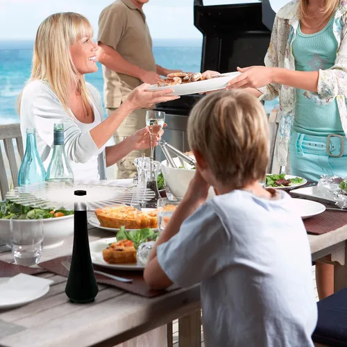 Vista 7 de Matamoscas para comida exterior o interior, ventilador de picnic para uso de mesa, ventiladores de moscas para mesas, barbacoas, eventos, ventilador