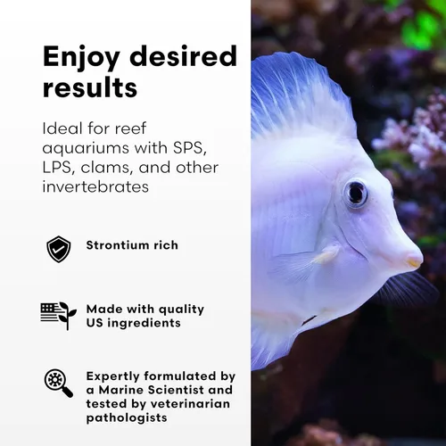 Vista 3 de Brightwell Aquatics Strontion - Suplemento de estroncio iónico de alta resistencia para acuarios de arrecife que apoya el crecimiento esquelético