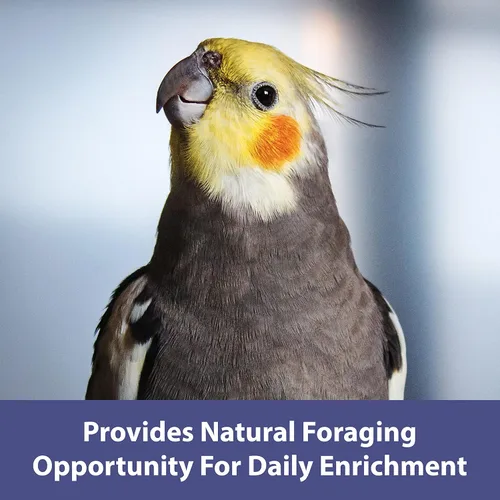 Vista 7 de Kaytee Spray Millet For Birds, 12 Count (Pack of 1) (El embalaje puede variar)