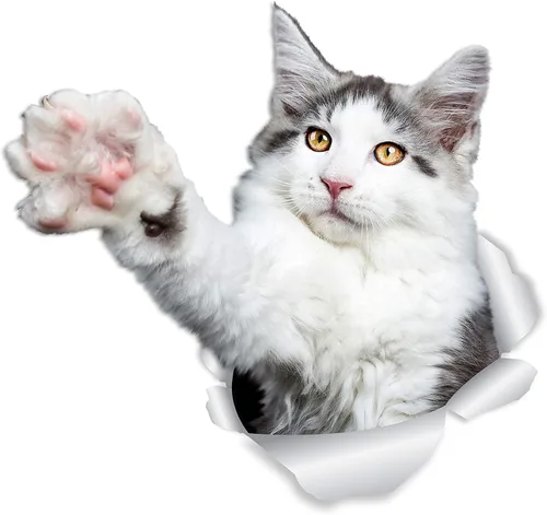 Vista 7 de Winston & Bear Calcomanías de pared con diseño de gatito y gatito rojo de Maine Coon - Paquete de 2 calcomanías de inodoro de gato naranja Maine