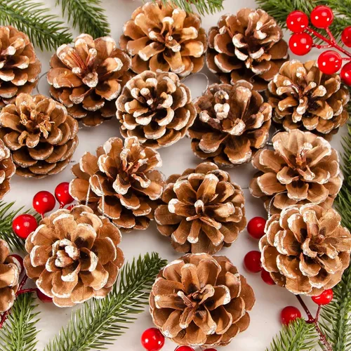 Vista 3 de 24 piñas de pino natural de Navidad, piñas rústicas con cuerda para manualidades y decoración de invierno Xmax Holidays jarrón y relleno de tazón
