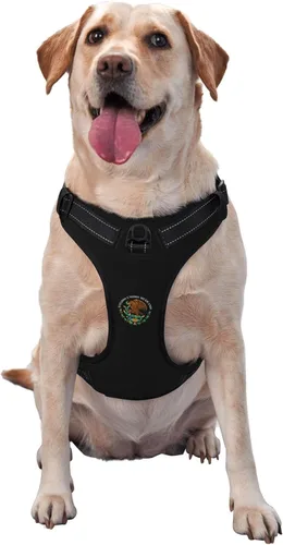 Vista 3 de Arnés para perro con bandera de México, suave y acolchado, arnés ajustable para mascotas para perros pequeños, medianos y grandes