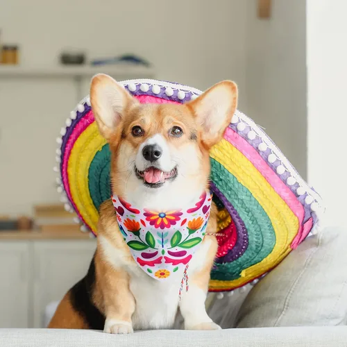 Vista 7 de Whaline Bandana mexicana para perro, bandana floral para perro, cinco de mayo, bufanda para mascotas, bufanda de doble cara ajustable de flores