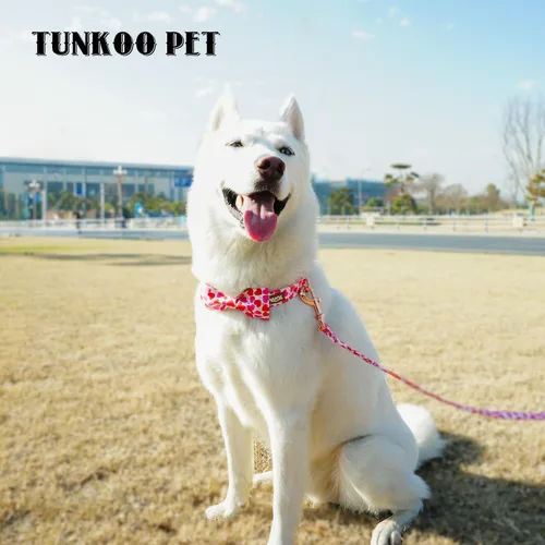 Vista 37 de Tunkoo Collar de otoño para perro con elegante pajarita, duradero, ajustable y elegante collar de otoño para mascotas, disponible en tamaño pequeño