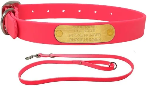 Vista 26 de Regal Dog Products Collares de perro pequeños negros impermeables con placa de nombre personalizada grabada Collar de perro de Biothane