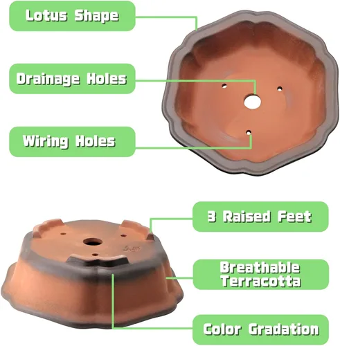 Vista 3 de MUZHI Maceta de barro para bonsái con forma de flor sin esmaltar de 7.5 pulgadas con platillo de cerámica, maceta de terracota poco profunda