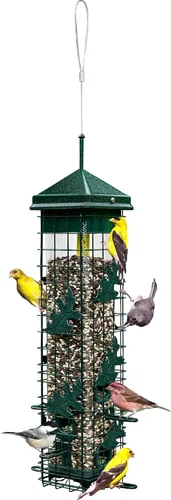 Vista 2 de Squirrel Solution200 Alimentador para pájaros a prueba de ardillas con 6 puertos de alimentación, capacidad de semillas de 3.4 libras, embudo