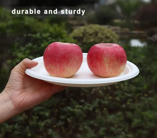 Vista 2 de GreenWorks Platos compostables resistentes de 7 pulgadas y 9 pulgadas (cada uno 50 unidades), 100 platos de papel desechables sin blanquear