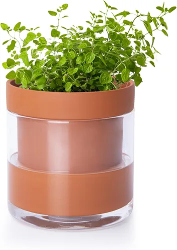 Vista 30 de Phoenix Vine Macetero de terracota de riego automático de 4 pulgadas, maceta de arcilla de terracota negra con depósito de vidrio para plantas