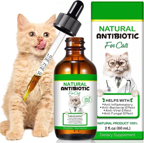 Antibióticos para gatos para infecciones, antibióticos naturales para gatos, multivitamínicos líquidos para gatos, antibióticos para gatos que