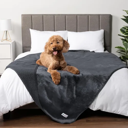 Vista 9 de PetAmi Manta impermeable para perros y gatos, a prueba de orina, reversible, forro polar suave, lavable, 24 x 32 pulgadas, color beige