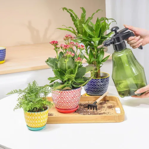 Vista 5 de Selamica Macetas de cerámica para suculentas con agujeros de drenaje, macetas pequeñas de 3.5 pulgadas para plantas de interior con platillos