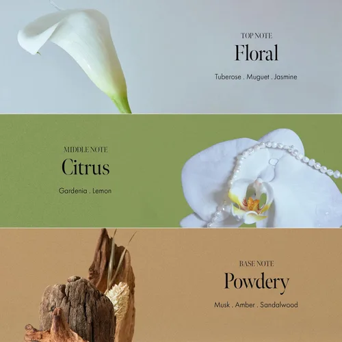 Vista 4 de ANILLO Gardenia Veil Color Shield Ampoule Treatment – Mascarilla para el cabello con aumento de brillo para cabello teñido – Complejo de proteína