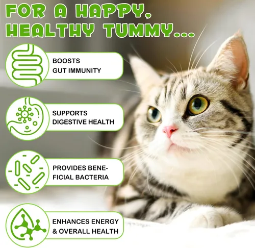 Vista 5 de Probióticos para gatos, probióticos para gatos con prebióticos y enzimas, gotas probióticas 3 en 1 para gatos, suplemento de probióticos para gatos