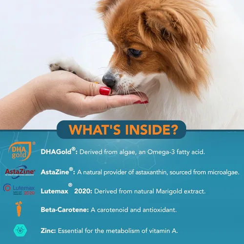 Vista 3 de NOVEHA Suplemento ocular para perros (90 masticables), apoyo visual con luteína + vitamina C y antioxidantes de astaxantina, vitaminas para perros