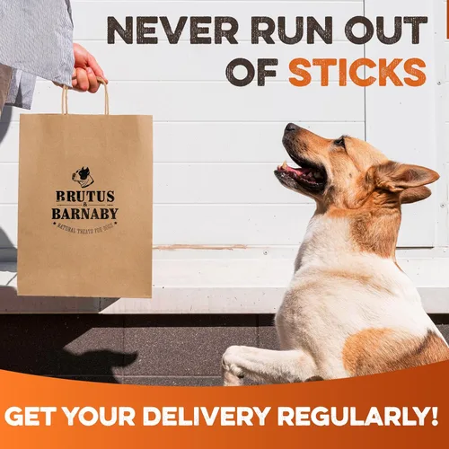 Vista 7 de BRUTUS & BARNABY Bully Sticks for Small, Medium & Large Dogs, 6 Inch, 10 Ct