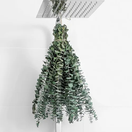 Vista 10 de 20 piezas de tallos de eucalipto seco de 17 pulgadas, eucalipto auténtico para colgar en la ducha, 100% hecho de hojas frescas, para bodas, hogar