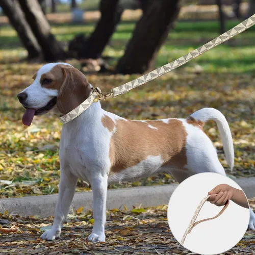Vista 2 de KUDES - Collar de cuero para perro y correa de 4 pies, collar básico ajustable con patrón de campana a cuadros, collar y correa de cuero duradero