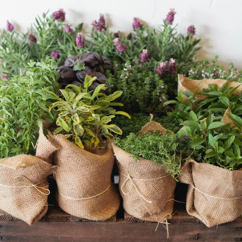 Vista 7 de Svepndic Rollos de tela de arpillera natural multiusos de 40 pulgadas x 19 pies, rollos de arpillera de jardinería para decoraciones, bodas