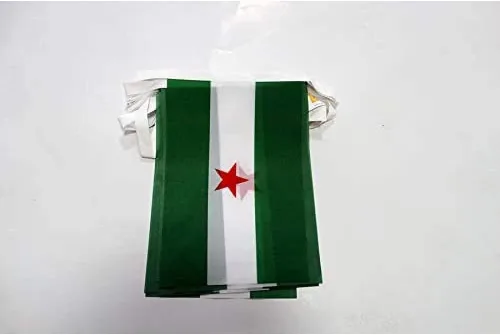 Vista 287 de Guatemala 19.7 ft BUNTING Flag 20 banderas 9'' x 6'' - Banderas de cuerda guatemalteca 5.9 x 8.3 in - AZ FLAG
