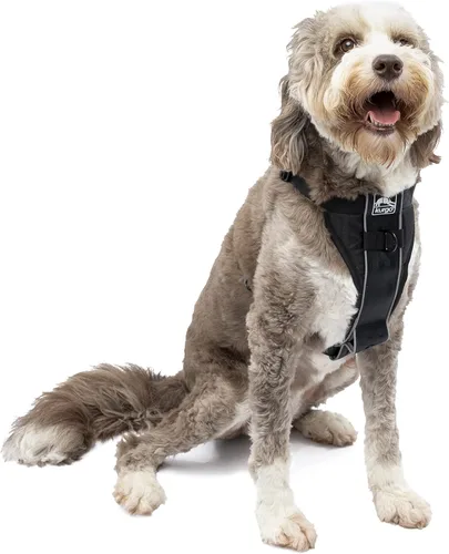 Vista 18 de Kurgo Tru-Fit - Arnés inteligente para caminar para perros, ajuste cómodo, arnés ajustable, reflectante para mascotas, liberación rápida
