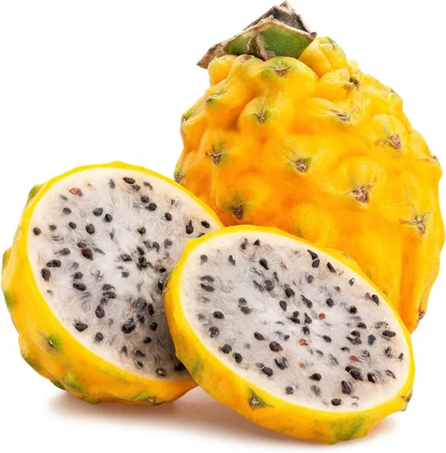 20 semillas. Fruta del dragón amarillo (Pitaya/Pitahaya/pera de fresa) Hylocereus Megalanthus Cactus Flor Blanca