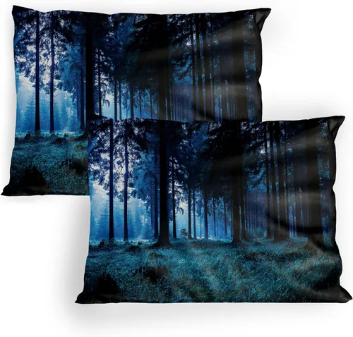 Vista 21 de Lunarable Nature Pillow Sham Set of 2, Sunset in a Winter Park Russia Sun Rays Through Trees Pathway to Forest, Quality Microfiber Bedding Item for