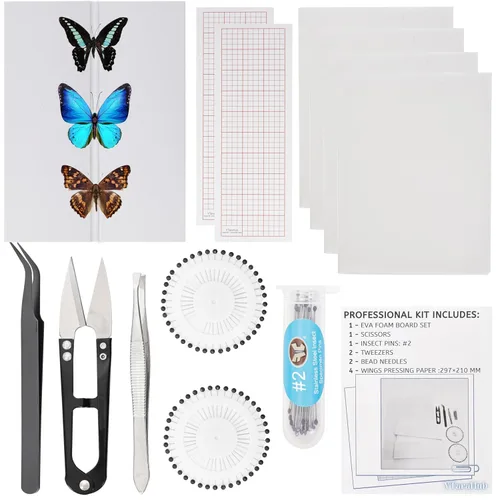 Vista 11 de 304 Alfileres de Acero Inoxidable para Insectos – 300 piezas Agujas de Especímenes de Entomología y 200 Agujas de Cuentas para Especímenes