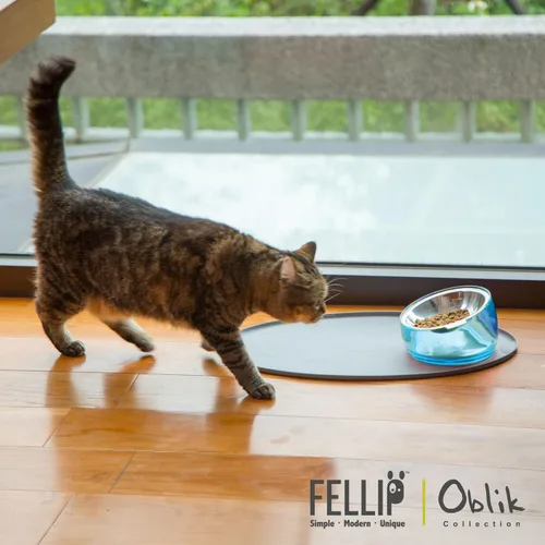 Vista 5 de Felli Pet Oblik Whisker Fatigue Cat Food Bowl Raised Stainless Steel Shallow Dish, Pet Design Anti Vomit Tilted Metal Plate Feeder Elevated Acrylic