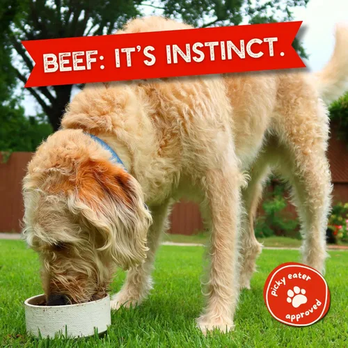 Vista 7 de Beg & Barker Toppers de comida para perros de carne de res (8 onzas, paquete de 1) – 100% hecho en Estados Unidos para comida de un solo ingrediente