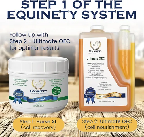 Vista 8 de Productos de Equinety Horse