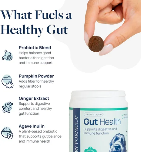 Vista 3 de Veterinary Formula Suplemento de salud intestinal para perros - Masticables probióticos formulados por veterinarios con enzimas digestivas y fibra