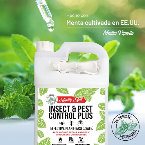 Vista 5 de Mighty Mint Aceite de menta repelente de insectos en aerosol – Control natural de insectos en interiores y exteriores para arañas, hormigas