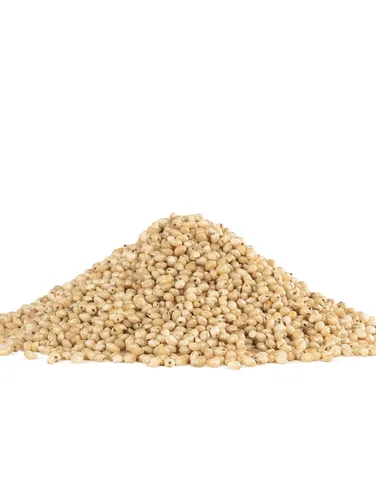 Vista 4 de Bob's Red Mill Grano de sorgo blanco dulce, sin gluten, 24 onzas