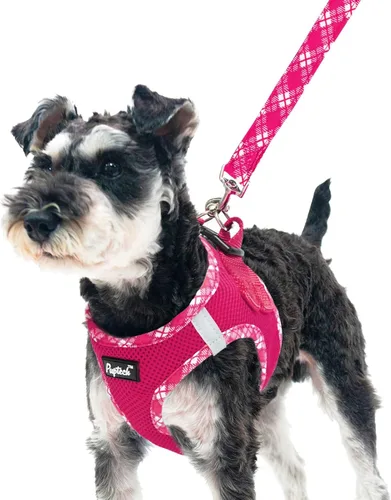 Vista 36 de Pupteck Juego de arnés y correa para perros pequeños y medianos, cachorros, gatos, sin tirones, de malla suave, chaleco reflectante por la noche