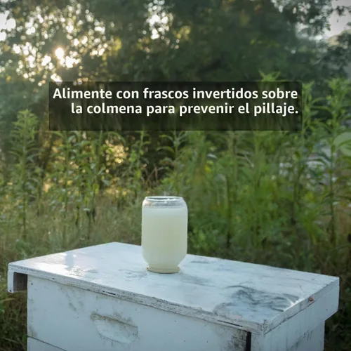 Vista 2 de Amino-B Booster 16 oz. Botella, proteína líquida vital para la salud de las abejas