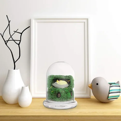 Vista 9 de Cúpula de cristal para plantas, 2 unidades, tarro de campana de cristal con base redonda, tarro de cúpula cloche, botella de terrario, decoración