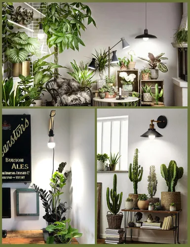 Vista 6 de Bombillas de Crecimiento, Bombilla de Luz de Crecimiento A19, Bombilla de Luz de Espectro Completo, Bombillas de Luz para Plantas E26 Base