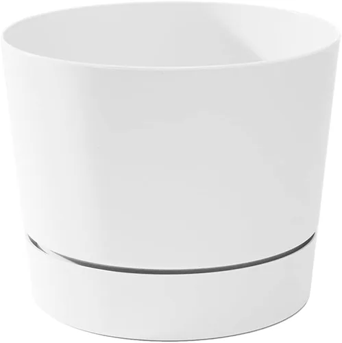 Vista 15 de Root & Vessel Majestic Mid-Century - Maceta cilíndrica moderna de perfil bajo, color negro mate, 10.5 pulgadas